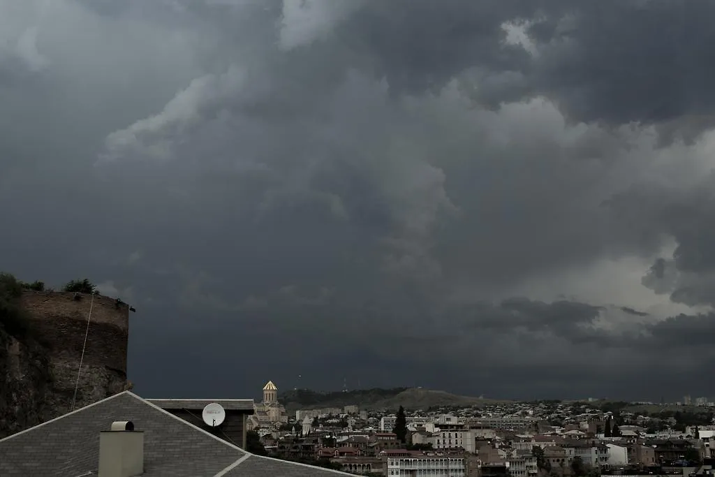 Botanic Apartment Tbilisi